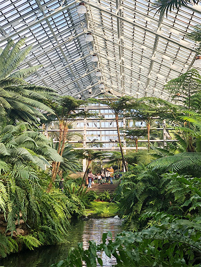 Things to Do With Kids: Garfield Park Conservatory