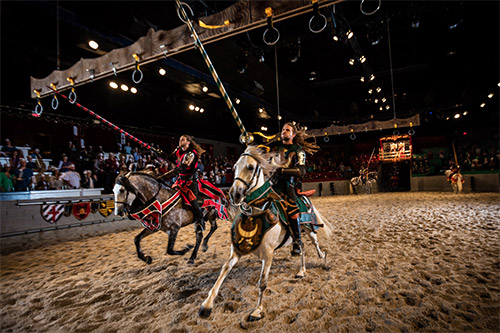 Things to Do With Kids: Medieval Times: Chicago Castle
