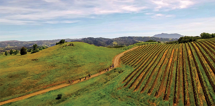 2018 Guide to Napa and Sonoma: The Best Wineries, Restaurants and Hotels (Jordan Winery)