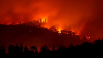 How to Help Those Affected By the California Wildfires