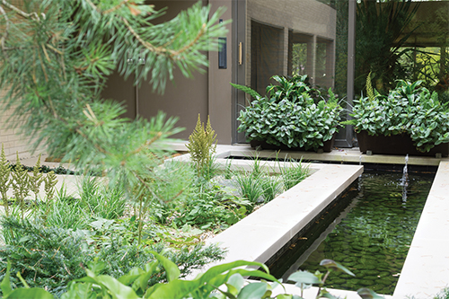 Outdoor Living Space: Water Feature