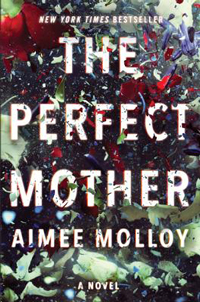 "The Perfect Mother" by Aimee Molloy