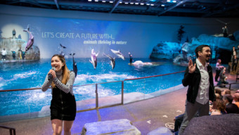 Better Makers: Shedd Aquarium Honors Founder’s Mission for a City Thriving With Aquatic Life