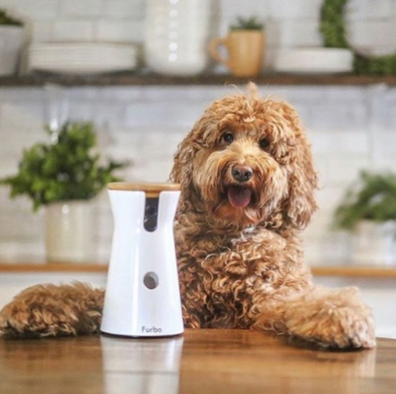 Dog Products: Furbo Dog Camera