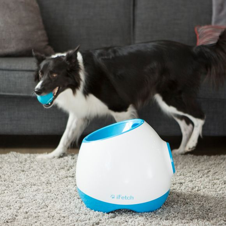 Dog Products: iFetch Too Interactive Ball Launcher Dog Toy