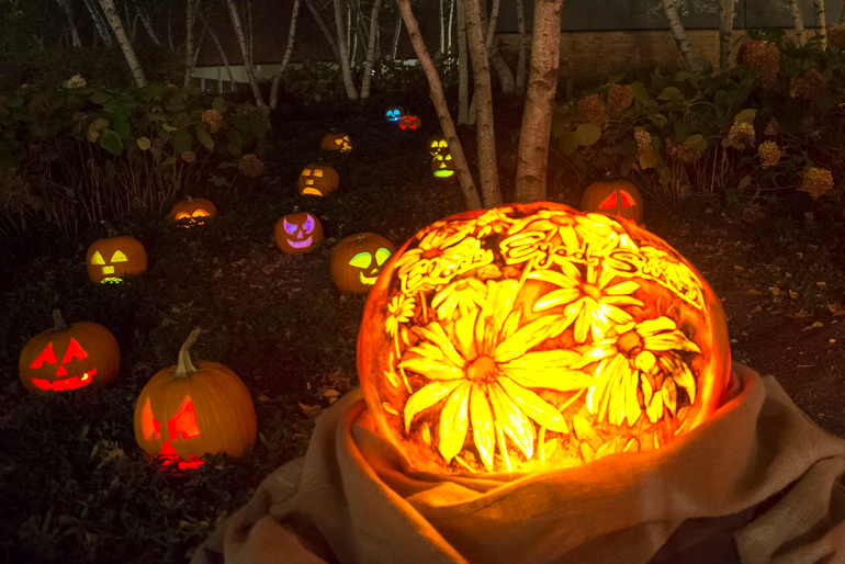 Chicago Botanic Garden Night of 1,000 Jack-o'-Lanterns