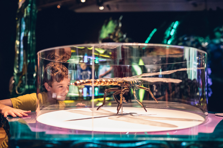 Fantastic Bug Encounters at Field Museum, Chicago