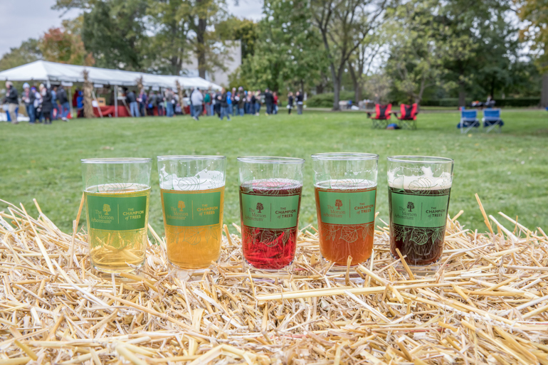 Morton Arboretum Cider and Ale Festival