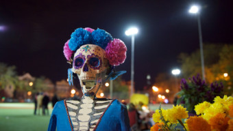 Day of the Dead 2019 in Chicago: Where and Why You Should Join in the Festivities