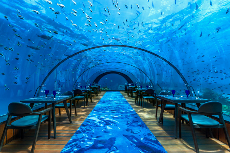 Maldives 5.8 Undersea Restaurant