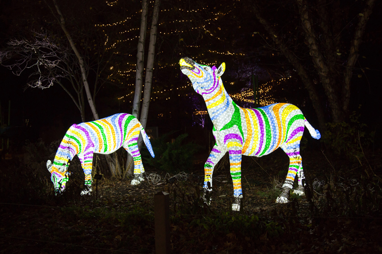 Lincoln Park Zoo's ZooLights