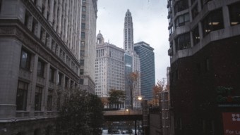 Chicago Feel Good News November 12 2019