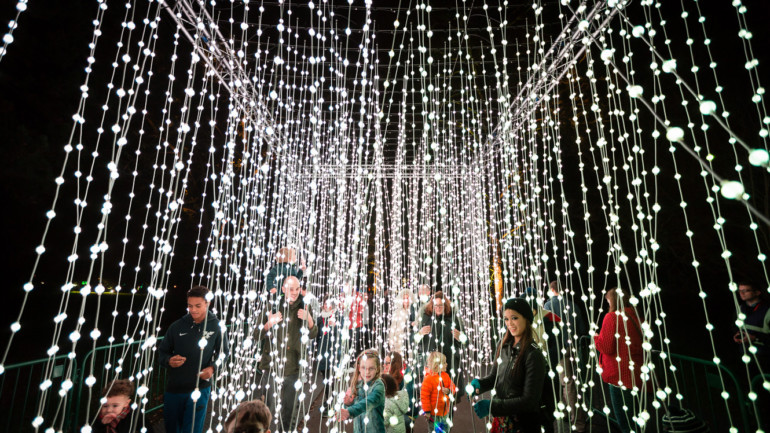 Lightscape at Chicago Botanic Garden