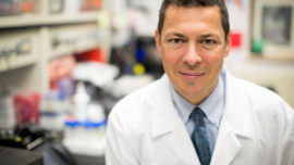 type 1 diabetes: José Oberholzer, Chicago Diabetes Project, islet cell transplant