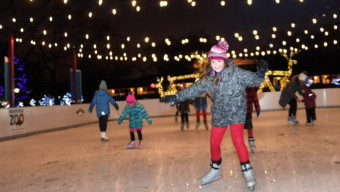 31 of the Best Things to Do in Chicago This January — Brookfield Zoo Chicago Wolves Skating Rink
