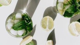 Mojito Jeff Burkhart