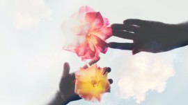 Coping With A Cancer Diagnosis: 3 Women Tell Their Stories