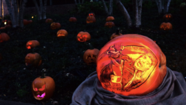 Chicago Botanic Garden