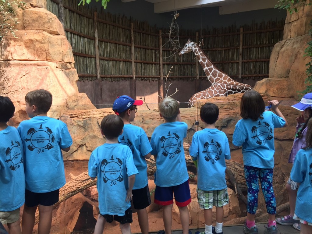 Zoo children's summer camp