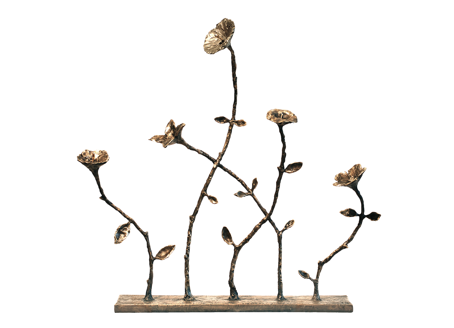 cinque fiori