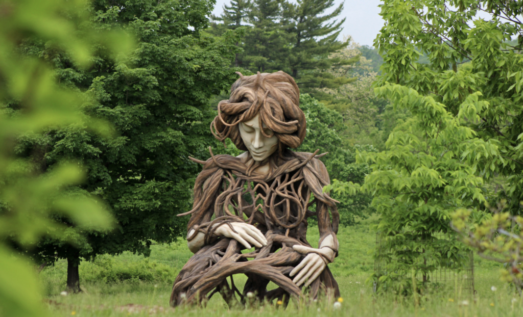 Human+Nature at The Morton Arboretum