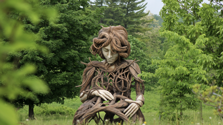 Human+Nature at The Morton Arboretum