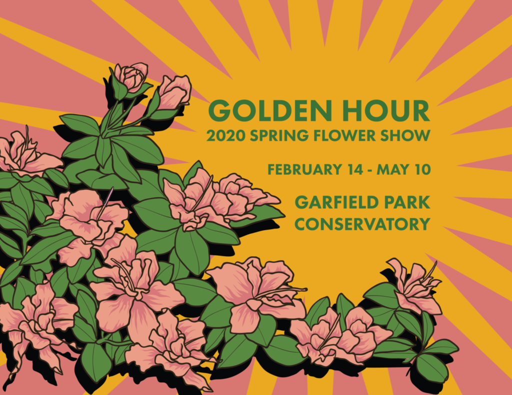 golden hour flower show