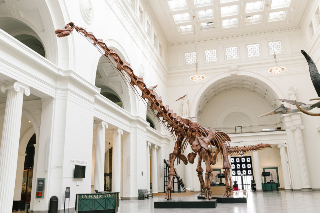 31 things Field Museum Free Admission