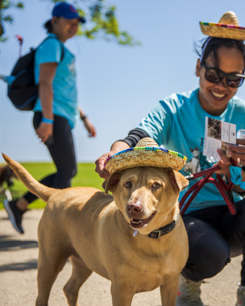 PAWS Chicago 5K Attendees | Photo by Brian Hlavacek
