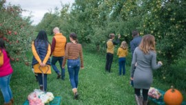 Royal Oak Farm Orchard