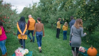 The Best Pumpkin Patches and Apple Orchards Around Chicago and the Suburbs