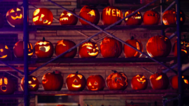 The Great Highwood Pumpkin Fest | Photo by Joel Lerner Photography