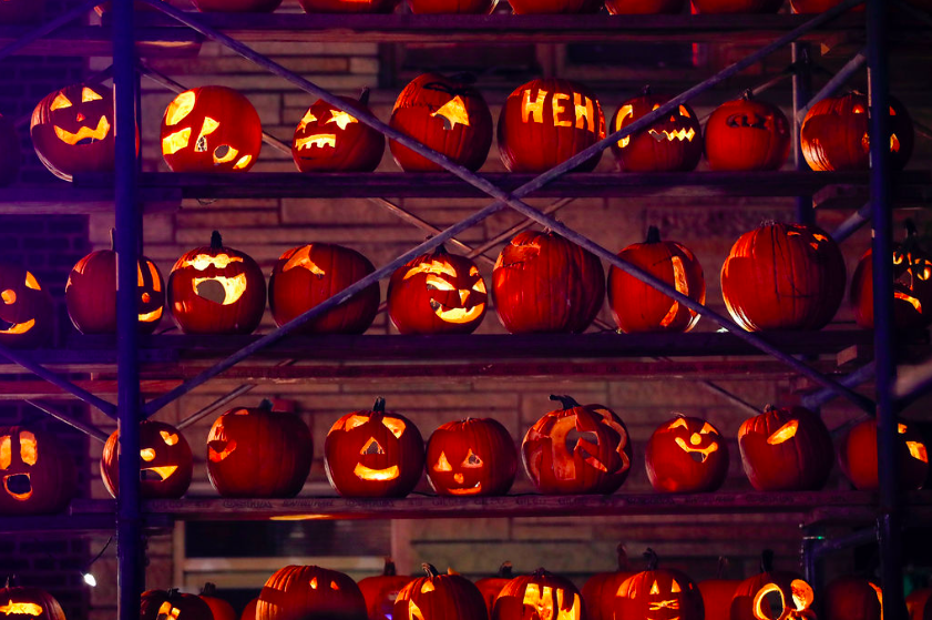 31 of the Best Things to Do in Chicago and the North Shore This October