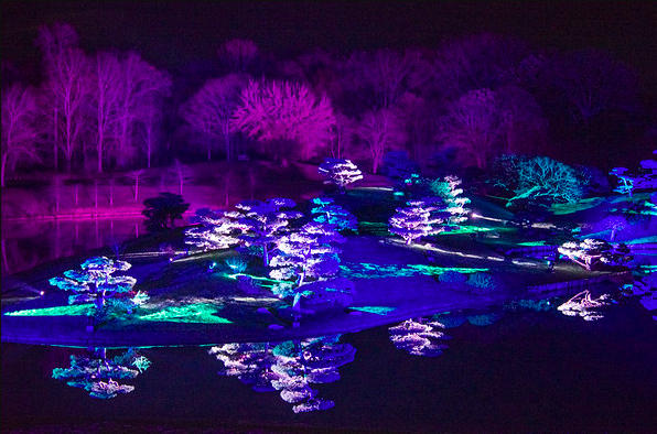 Lightscape | Photo courtesy of Chicago Botanic Garden