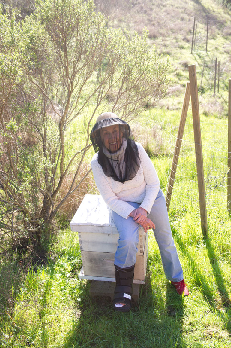 Beekeeping Mea McNeil-Draper