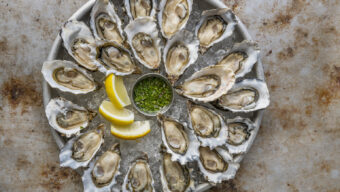 Hog Island sweetwater oysters