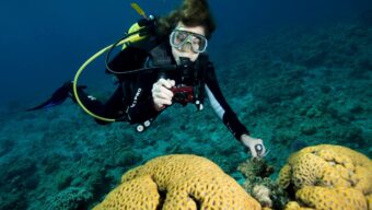 Sylvia Earle diving