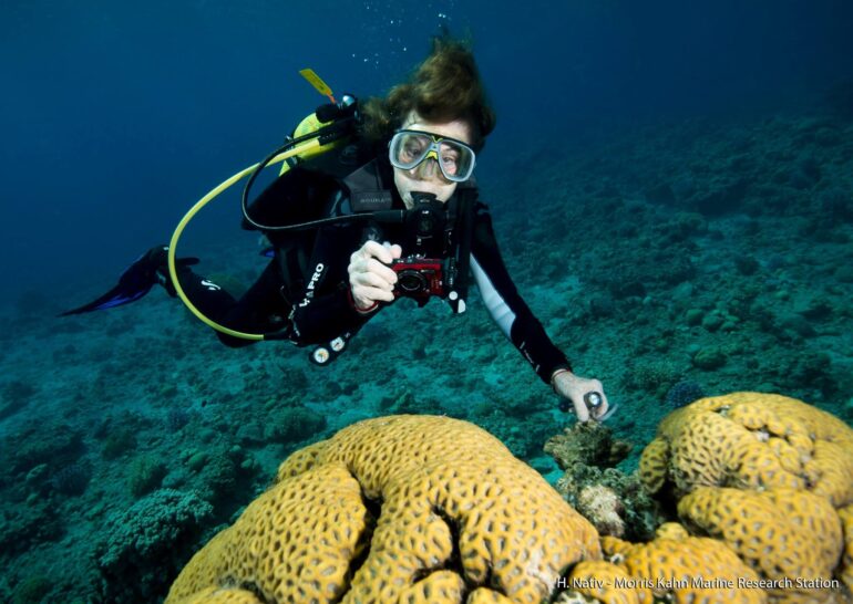 Sylvia Earle diving