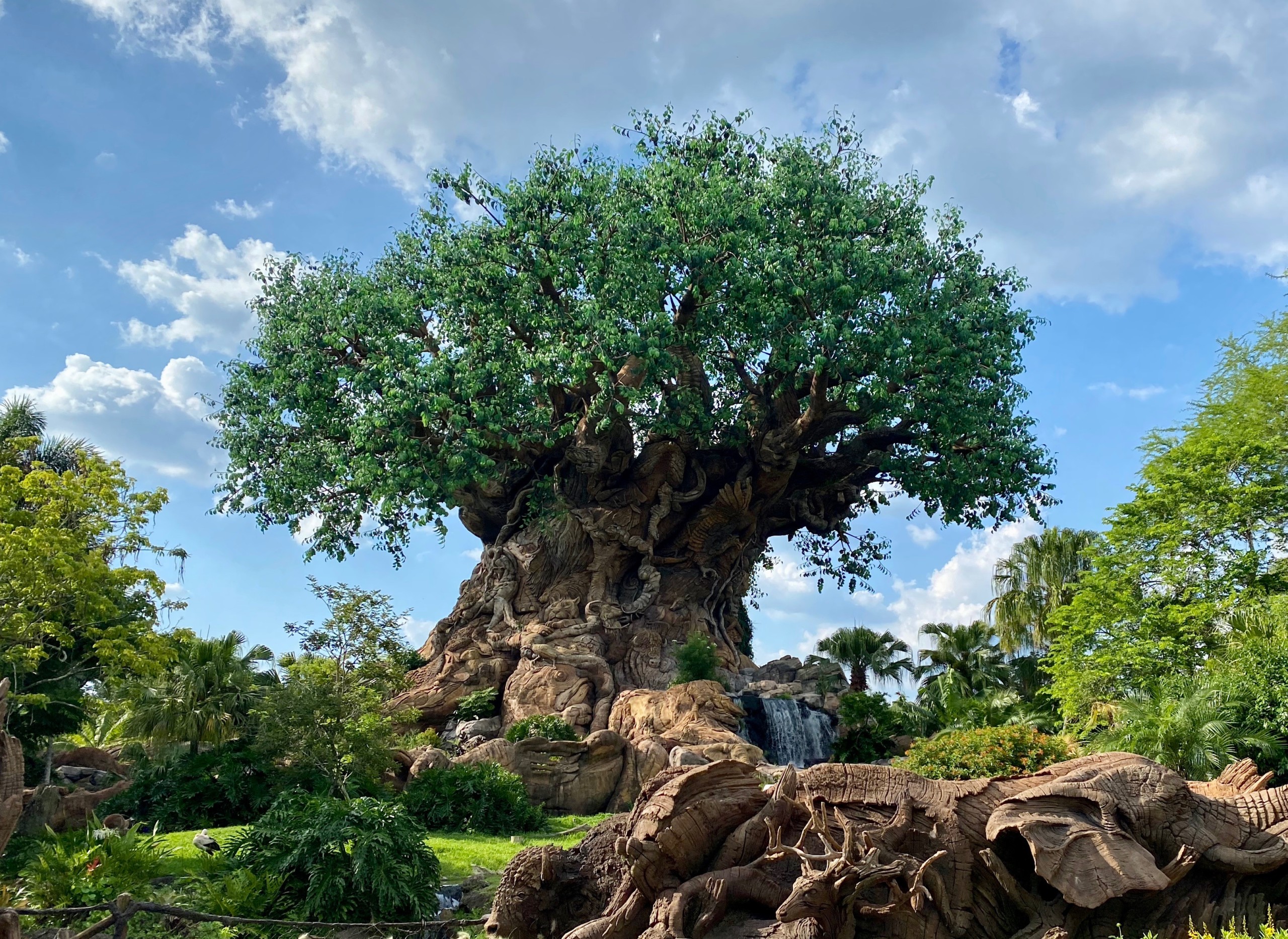 National Geographic Show Goes Behind the Scenes at Disney's Animal Kingdom