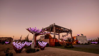 Hardly Strictly Bluegrass