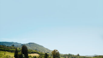 CHEESE PLEASE Winemakers share their favorite pairings