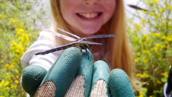 Arbor Day Volunteering