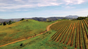 2018 Guide to Napa and Sonoma: The Best Wineries, Restaurants and Hotels (Jordan Winery)