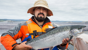 Pacific Catch