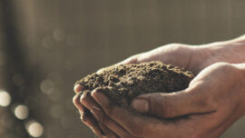 Soil