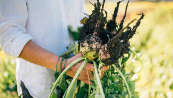 real good greens california