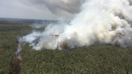 Australian Wildfires: How You Can Help