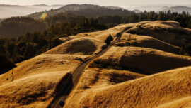 National and State Parks Close in Response to Unsafe Social Distancing