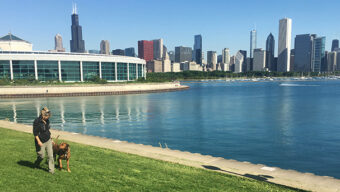 Your Top 5 Dog Problems, Solved!