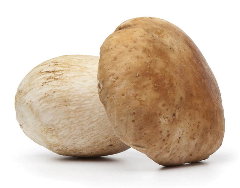 6 Foods That Naturally Prevent and Treat Disease: Mushrooms